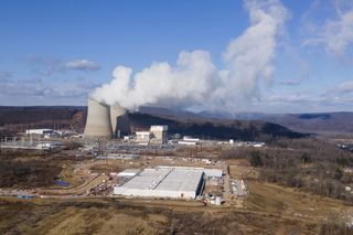 Joanna Senyszyn podbija internet. Sześć elektrowni atomowych w sto dni? Ikona