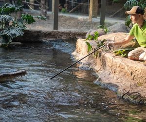 Orientarium Zoo Łódź. Pierwsze karmienie Krakena w historii ogrodu. To największy krokodyl w Europie [ZDJĘCIA].