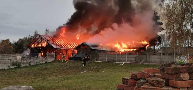 Pożar stajni w Częstochowie. Spłonęła całkowicie