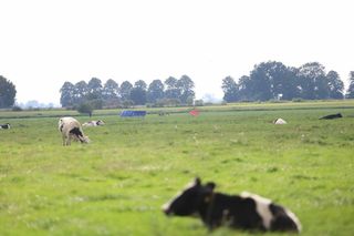 Rosyjski dron znaleziony w Oleśnie