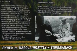 Proboszcz chce usunąć papieża