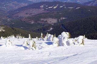 Z Wrocławia na weekend. Bajkowy Pradziad, czyli czeski raj dla narciarzy