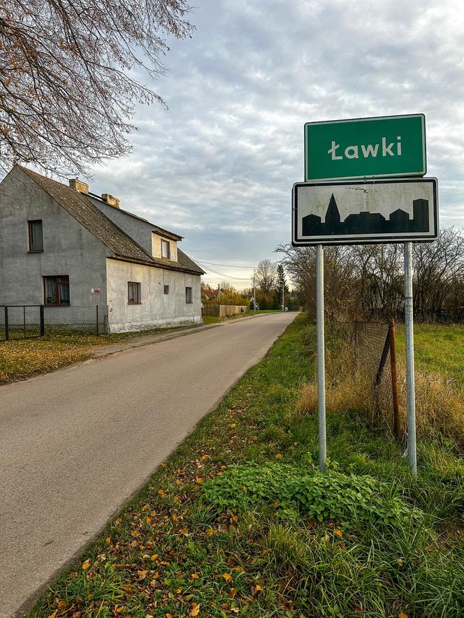 Takt zniknął ze stajni. Właściciel załamany