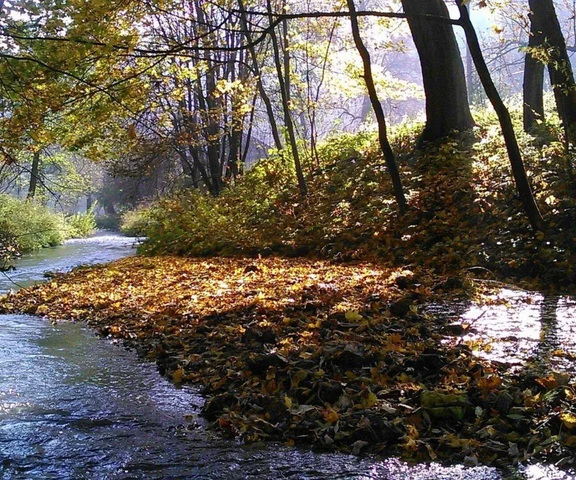 Park Narodowy Doliny Dolnej Odry. Przesunięto datę otwarcia