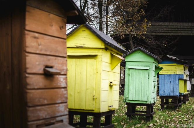 Skansen w Pszczynie obchodzi 50-lecie istnienia