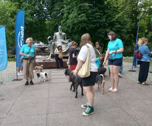 Sztuka dla zwierząt8