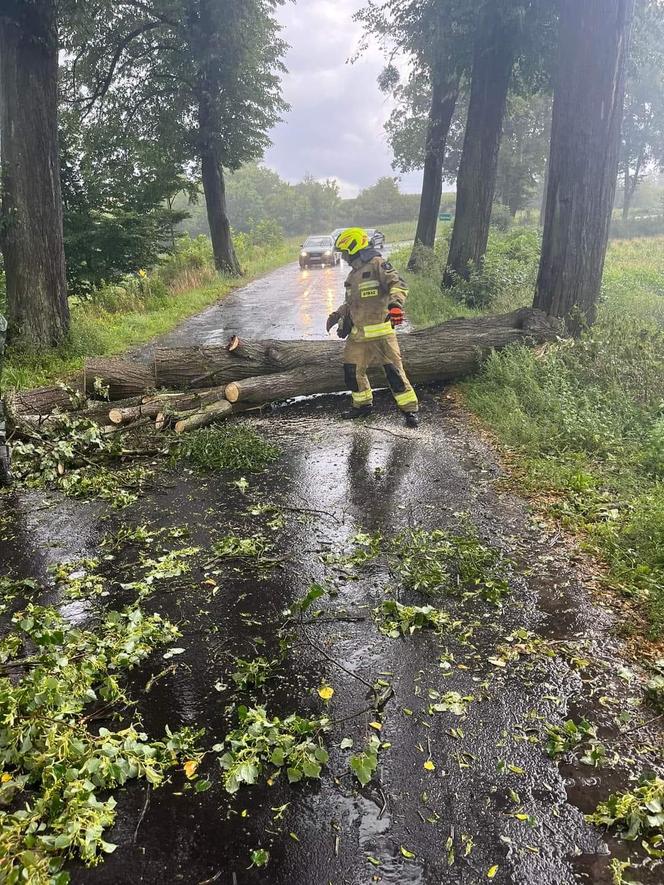 Burzowe skutki w okolicy Grudziądza