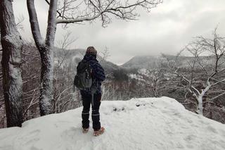 Park Krajobrazowy Sudetów Wałbrzyskich