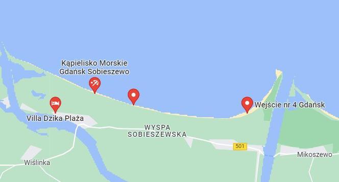 Dzika plaża na Wyspie Sobieszewskiej 