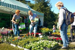 Chorzów: Kwiaty, zioła i dodatki do ogrodu. W Parku Śląskim trwa Święto Kwiatów [ZDJĘCIA]