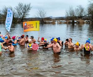 Dali czadu! Udane morsowanie z serduchem i WOŚPogeddon w Łomży