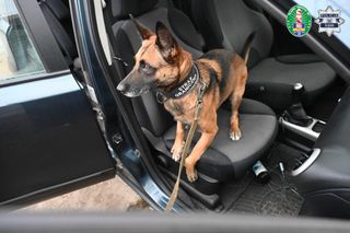 Akcja policji i straży granicznej na Śląsku. Przemyt z USA przez Czechy. Nikt się już nie uśmiechnie