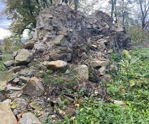 Zamek w Dąbrówce Starzeńskiej