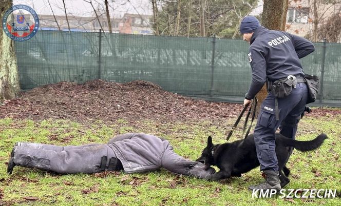 Nowe psy w zachodniopomorskiej policji