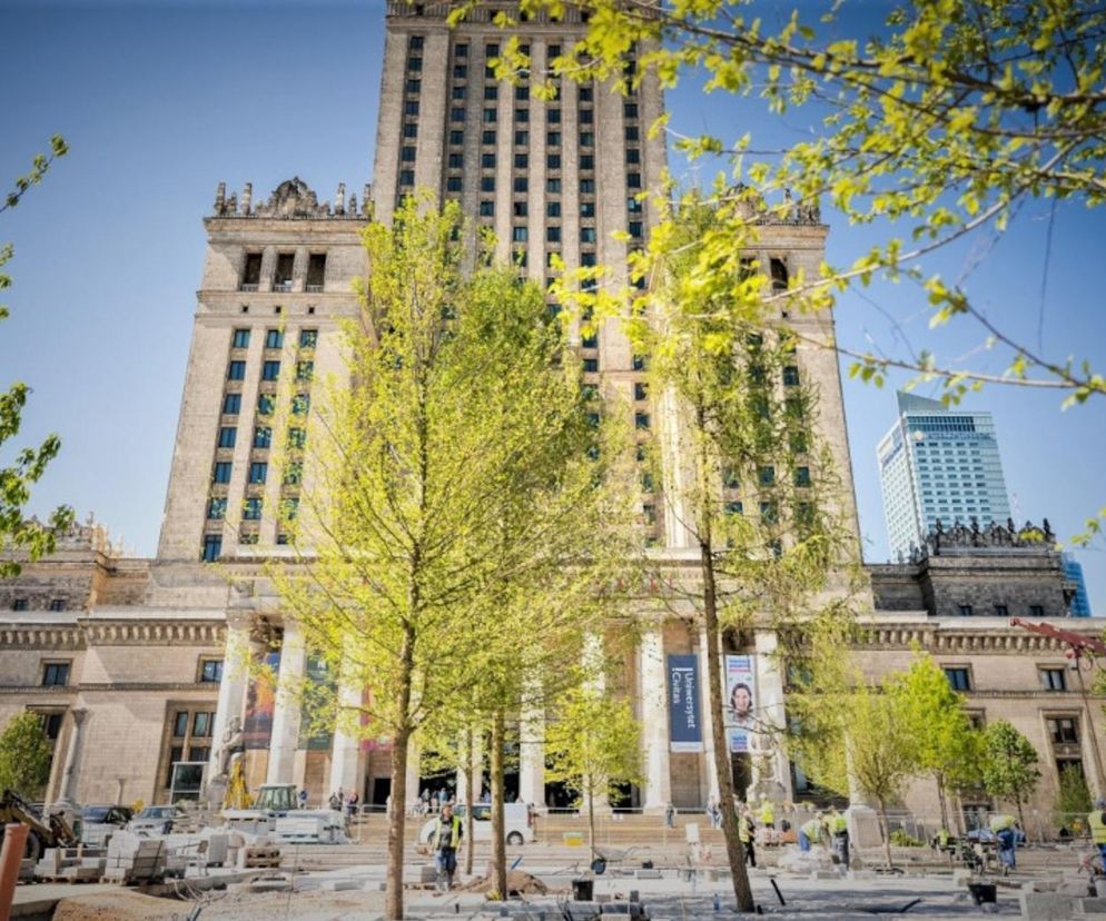 Plac Centralny po przebudowie