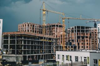 Nie potrzebują matury i studiów. Pracodawcy zatrudniają ich z miejsca