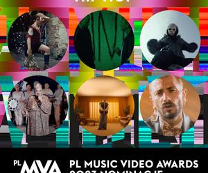 Teledyski nominowane do PL Music Video Awards