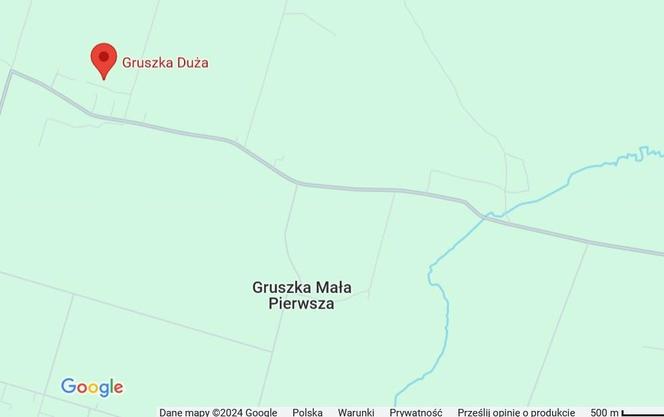 Gruszka Duża