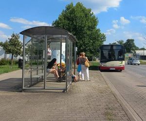 Dobra wiadomość dla działkowców. Autobus nr 5 MZK w Lesznie będzie linią całoroczną