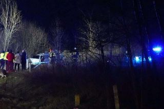 Wymysłów. Komendant policji w Turku zabrany śmigłowcem LPR. Zderzył się z łosiem [ZDJĘCIA]. 