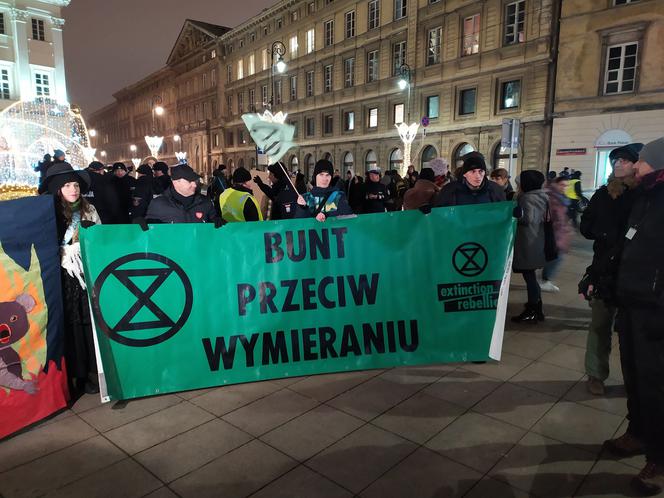 Protest klimatyczny w Warszawie