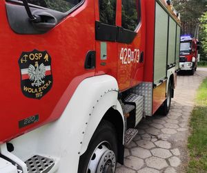 Staruszka wjechała samochodem do stawu! Dramatyczna akcja strażaków