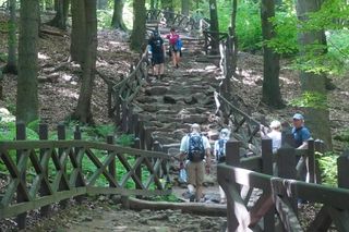 Puszcza Jodłowa i Góry Świętokrzyskie