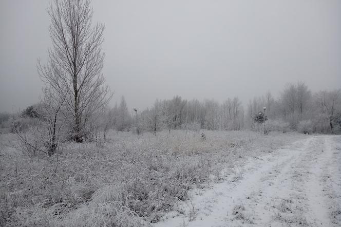 Zima da o sobie znać - przed nami opady śniegu, wiatr i spadek temperatury 