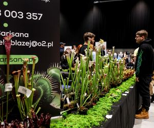 Targi egzotyki w Katowicach