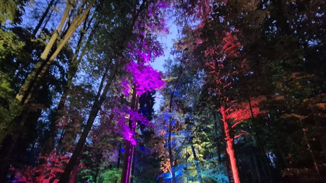 Olsztyn zamienił się w magiczną krainę. Park Świateł przyciągnął tłumy!