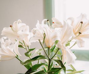 Życzenia imieninowe i urodzinowe dla dziecka. Krótkie, ale piękne, mądre propozycje życzeń od rodziców  