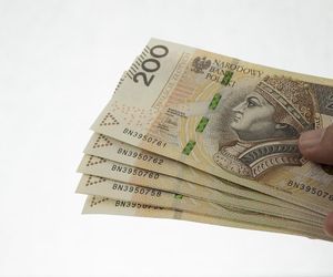 Wniosek o 800 plus złożony do końca kwietnia gwarantuje ciągłość wypłaty