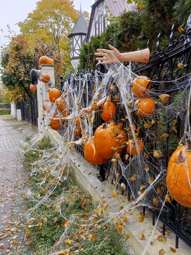 Willa na Jaśkowej Dolinie znów ozdobiona. Tym razem przechodniów zaskakują halloweenowe straszydła!