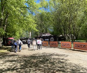   Festiwal Smaków Food Trucków w Olsztynie 2025. Zobacz zdjęcia!