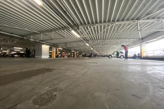 Game of Skate vol. 2 w Galerii Turzyn