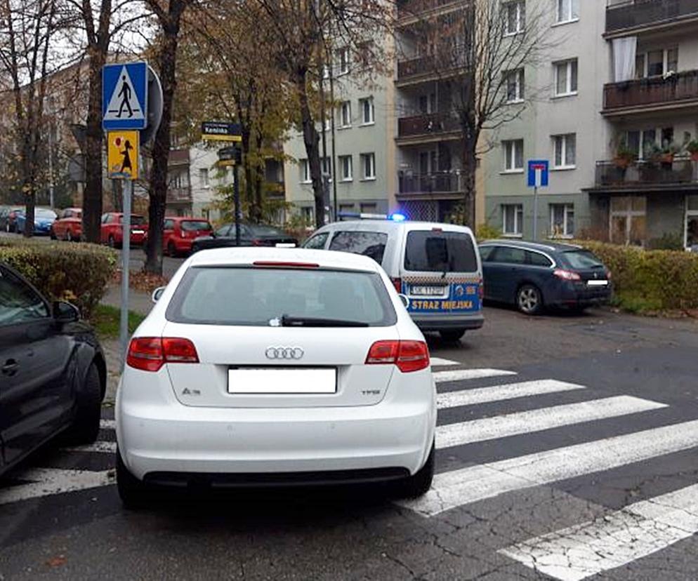 Mistrzowie parkowania w Katowicach