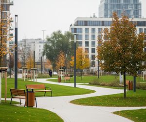 Budżet Obywatelski Krakowa 2025. Co naprawdę wybierali mieszkańcy miasta?