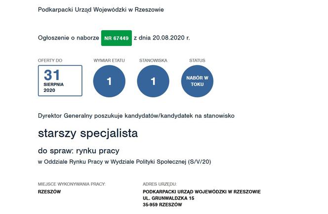 starszy specjalista do spraw: rynku pracy