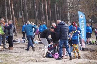 Bydgoskie Morsy wskoczyły do jeziora w Pieckach! 