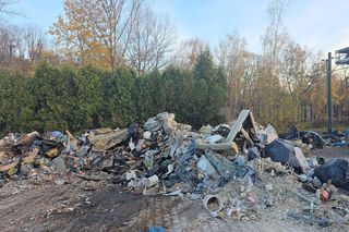 Duże zmiany Nowej Hucie. Trwa wielkie sprzątanie po latach zaniedbań 