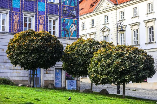 Warszawa, Stare Miasto jesienią