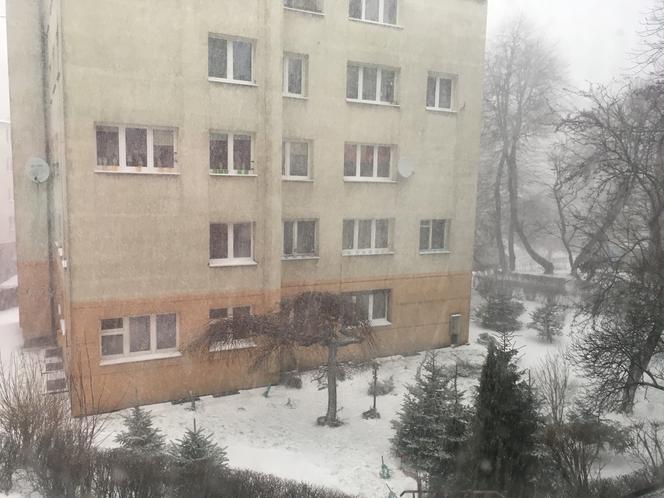 Pogodowy armagedon w województwie śląskim. Zamieć śnieżna przechodzi przez Śląsk!