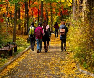 Zaskakujący zwrot w prognozach ucieszy Polaków. Pogoda daje ostatnie dni na długie, jesienne spacery
