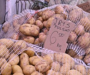  Ceny nowalijek na warszawskich bazarach szokują. Byliśmy i sprawdziliśmy ile trzeba zapłacić