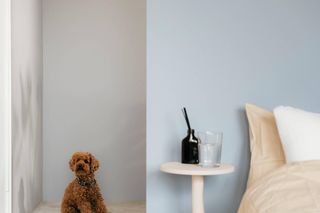 Niebieski we wnętrzach - Tikkurila