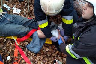 Mężczyzna przygnieciony przez drzewo