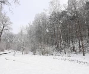 Starachowice w zimowej szacie