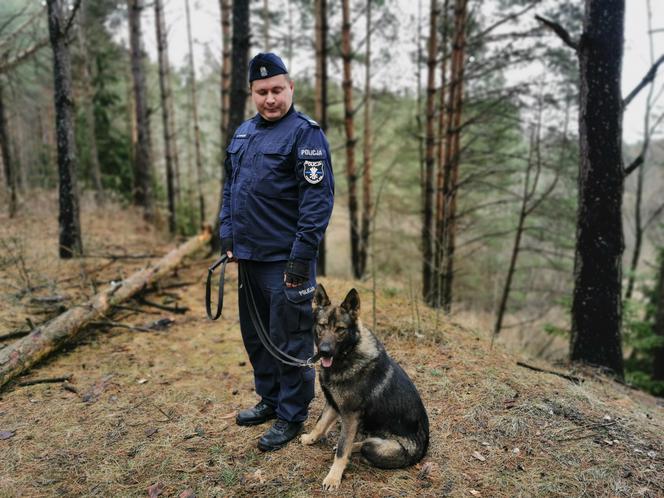 Kafar - nowy pies policyjny w Białymstoku