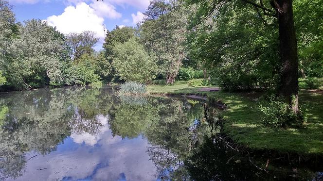 Park Tysiąclecia w Toruniu czekają spore zmiany