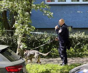 Ostatnie dni były niespokojne. Przerażająca relacja sąsiadów. Wojciech z zimną krwią zamordował mamę Elżbietę